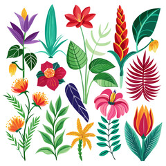 Colorful tropical flowers and foliage vector graphic design