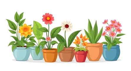 flower plants in pot