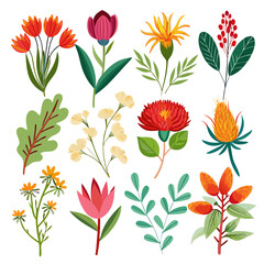 Botanical Illustration Set with Colorful Flowers and Berries