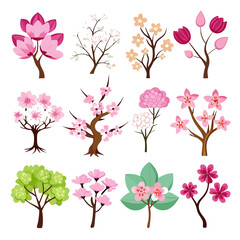 Twelve Blooming Trees and Floral Branches Illustration Collection