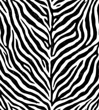 Beautiful zebra pattern silhouette vector illustration 