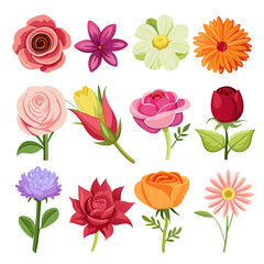 Colorful vector flower collection, rose, gerbera, tulip blooms