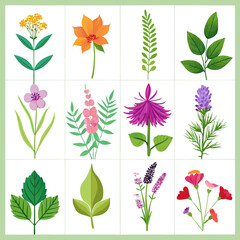 Assorted wildflower botanical illustration set on light green background