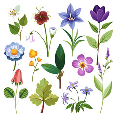 Assorted Flowers and Plants Isolated on White Background