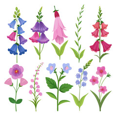 Beautiful watercolor flowers illustration design elements collection set