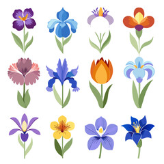 Twelve colorful stylized flowers illustration on a white background