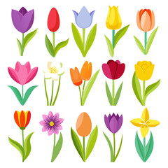 Spring bloom: Colorful flat vector flower illustration set