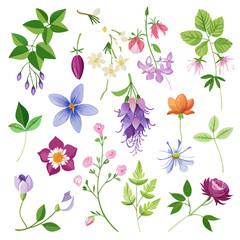 Botanical assortment of colorful flowers and plants illustration