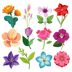 Colorful Flower Set Illustration Isolated on White Background