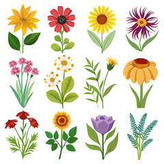 Twelve Flower Variety Vector Graphic Illustration on White
