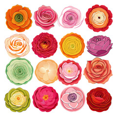 Colorful Rose Flower Illustration Collage on a White Background