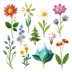 Collection of various wildflower and plant vector illustrations