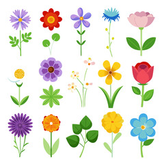 Cute vector flower set with leaves, isolated on white