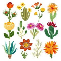 Colorful Desert Flowers and Cactus Illustration on White