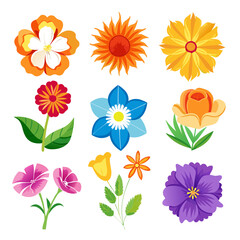Colorful Flower Variety Illustration, Floral Elements, Isolated on White