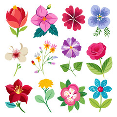 Assorted Flower Collection: Botanical Illustration, Colorful Floral Design