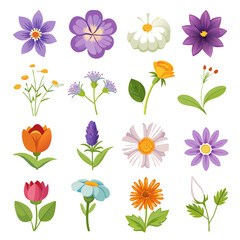 Set of Vector Flowers Isolated on White Background