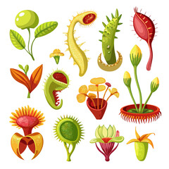 Carnivorous plant types vector collection on white background