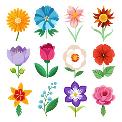 Colorful Flower Illustrations Set, Decorative Floral Elements