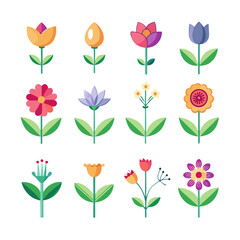 Flat Design Vector Flowers: Botanical Spring Illustration Set