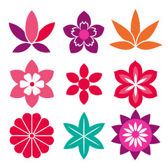 Set of Colorful Flower Illustrations on White Background