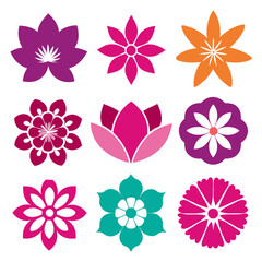 Colorful Flower Vector Set, Floral Elements, Botanical Illustration