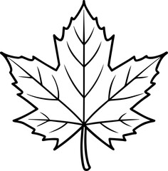 maple leaf silhouette vector illustration line art