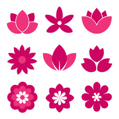 Pink flower vector set, stylized blossoms and leaves