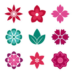 Botanical Flower Vector Collection, Floral Graphic Elements Set