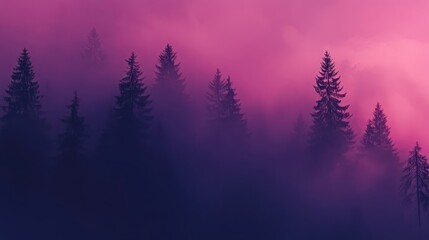 Silhouettes of misty pine trees against a vibrant pink and purple sky.