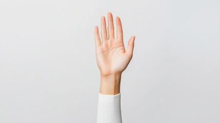 Raised hand showing palm in stop signal or volunteering gesture, isolated on plain white background caucasian adult arm ready with neutral expression reaching for communication or to ask question