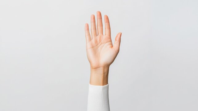 Raised hand showing palm in stop signal or volunteering gesture, isolated on plain white background caucasian adult arm ready with neutral expression reaching for communication or to ask question