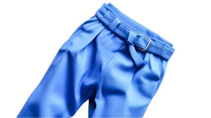 Stylish Blue Belted Pants Fashionable Design Elegant Style