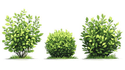 Vector illustration set of three green bushes showcasing diverse leaf structures and vibrant growth