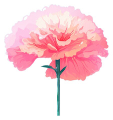 PNG A pink flower plant inflorescence springtime.