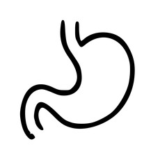 Stomach Icon - Simple Line Art
