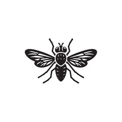 Fototapeta premium bee vector illustration 