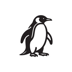 penguin vector illustration