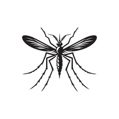 Obraz premium vector illustration of a mosquito 