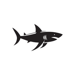 Obraz premium shark vector illustration