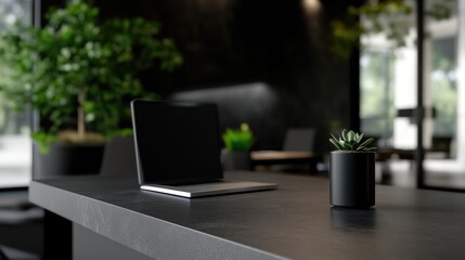 Modern workspace with laptop and plants (1)