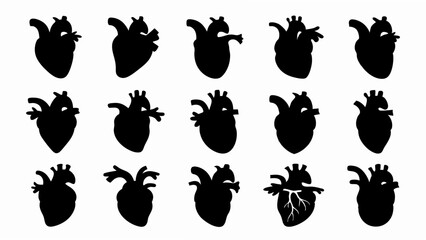 set of anatomical heart silhouette vector on white background