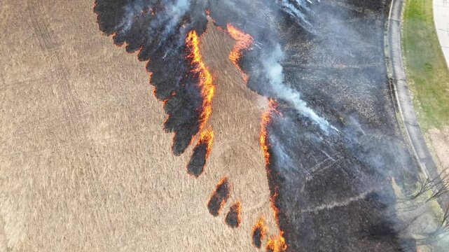 Smoke from a controlled burn billows into the sky as men rush to stop an approaching forest fire.