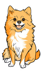 Obraz premium Adorable Pomeranian Dog Coloring Book Page for Kids in Minimalist Vector Style