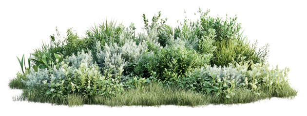 PNG Grassland shrub landscape vegetation plants green.