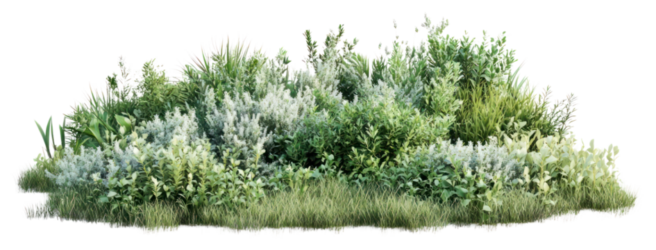 PNG Grassland shrub landscape vegetation plants green.