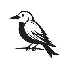 vector illustration of a bird