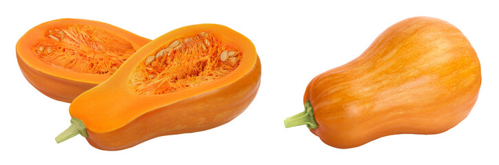 butternut squash half isolated on white background with full depth of field