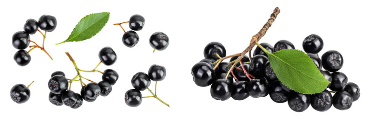 Chokeberry with leaf isolated on white background. Black aronia. Top view. Flat lay