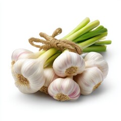 A bunch of fresh garlic bulbs tied together with a brown string isoleted on white background